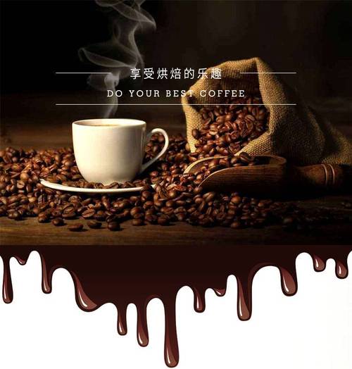 东亿12kg商用咖啡烘焙机 开启高效烘焙新纪元，厂家直销助力咖啡事业